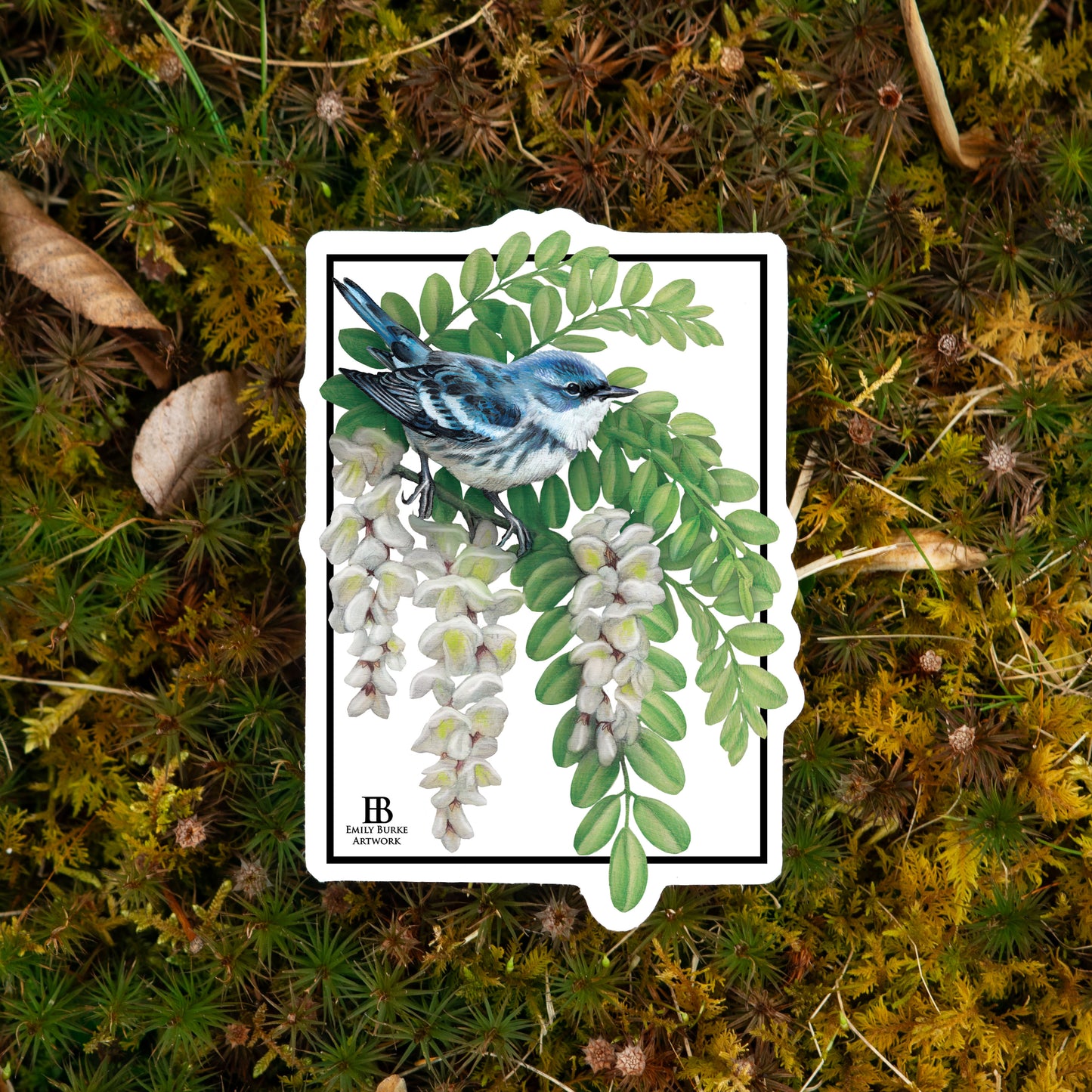 Cerulean Warbler and Black Locust Sticker
