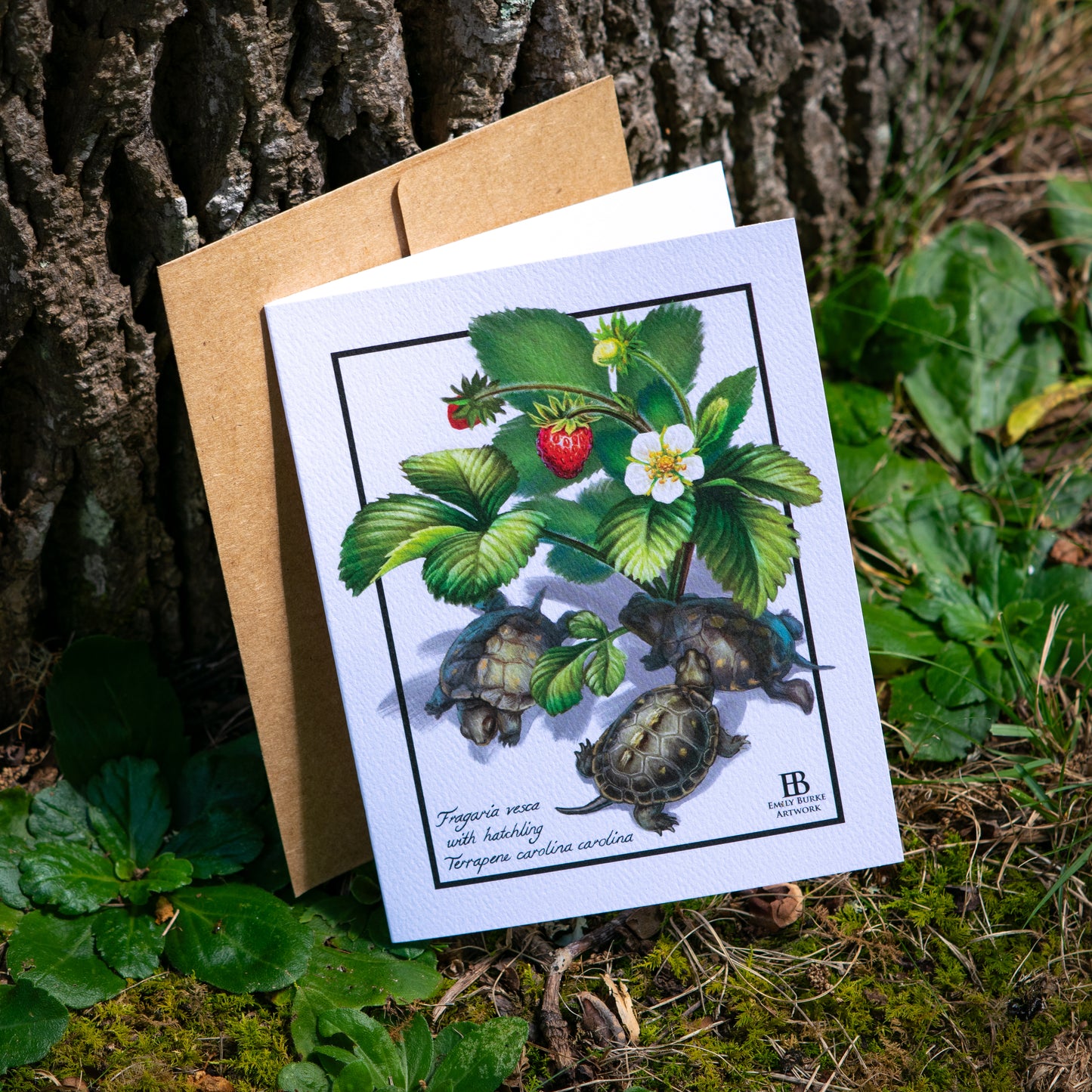 Strawberry Box Turtle Note Card