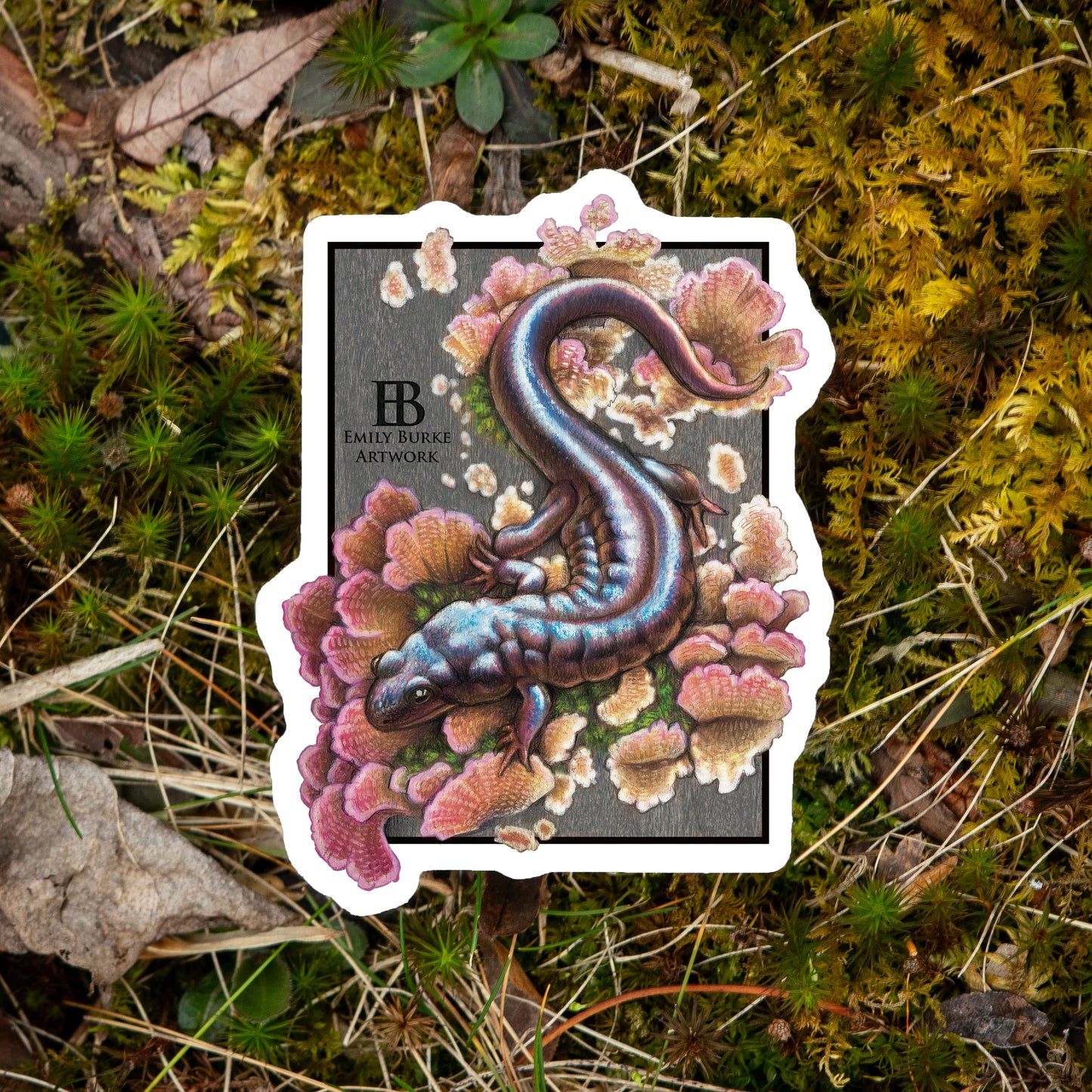 Seal Salamander and Violet-Toothed Polypore Sticker
