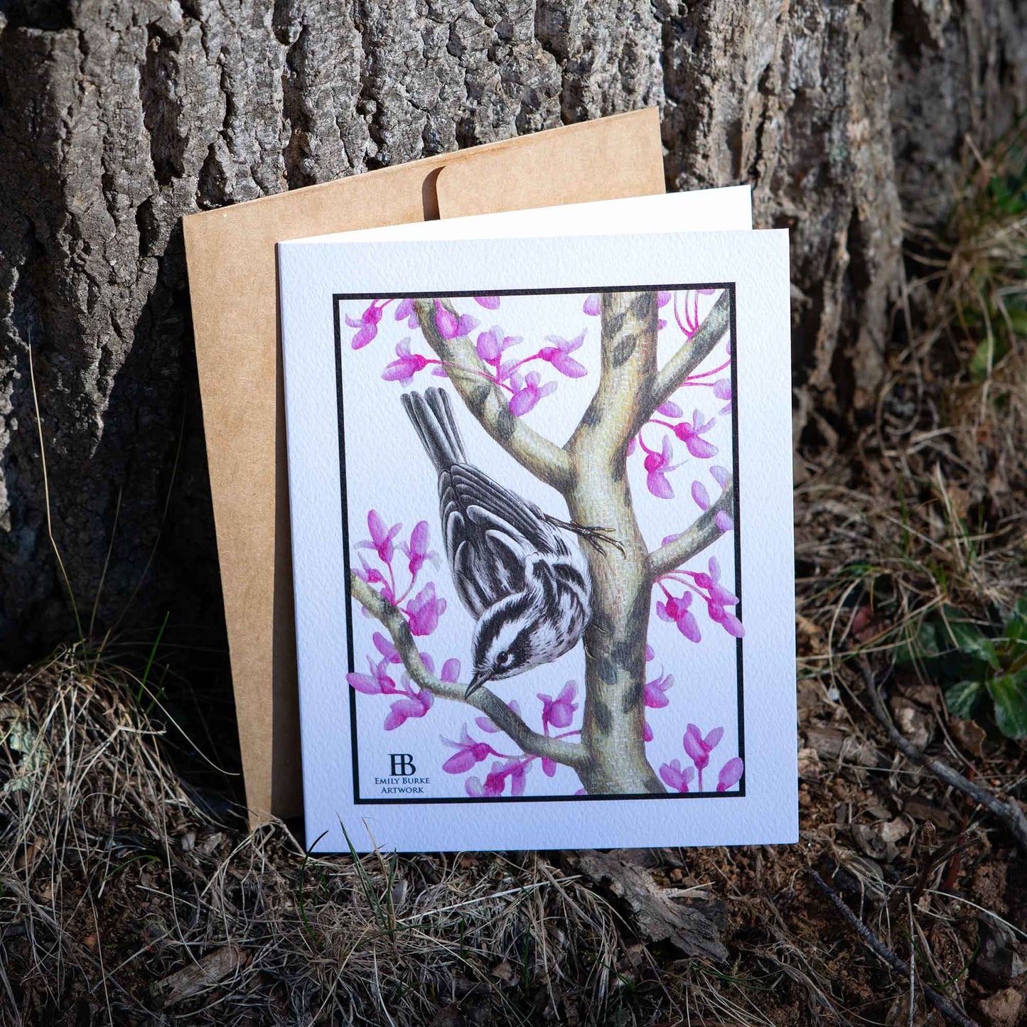 Black-and-White Warbler and Eastern Redbud Note Card