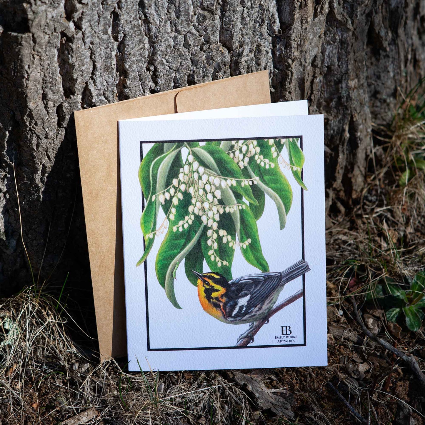 Blackburnian Warbler and Sourwood Note Card