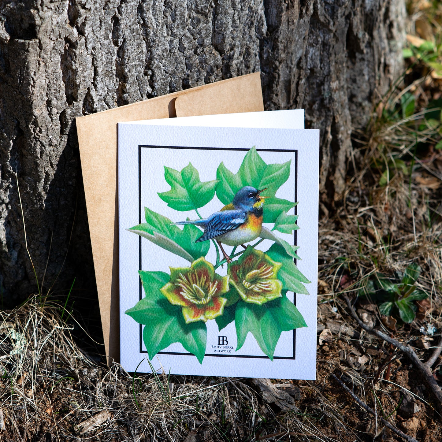 Northern Parula and Tulip Poplar Note Card