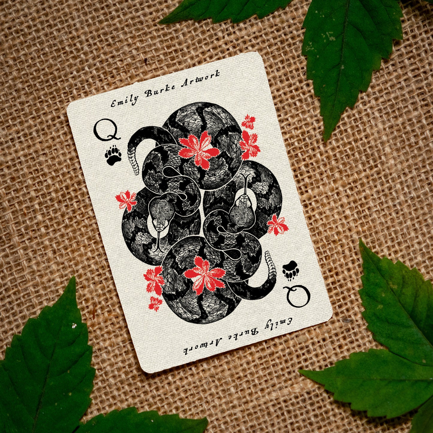 Appalachia Rattlesnake Sticker