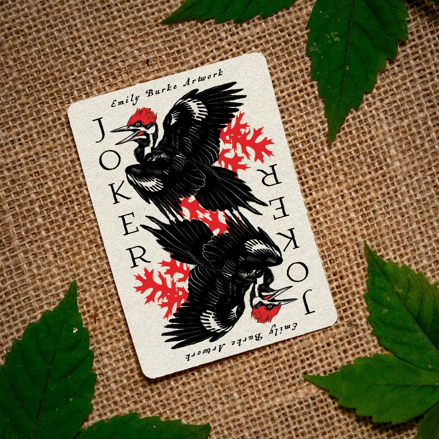 Appalachia Woodpecker Sticker