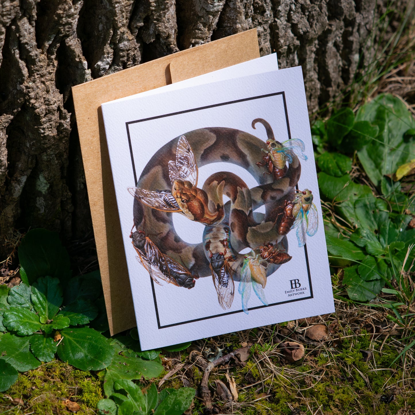 Copperhead and Cicada Note Card