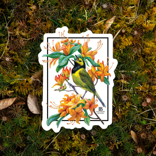 Hooded Warbler and Flame Azalea Sticker