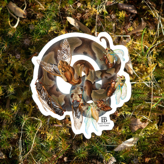 Copperhead and Cicada "Memento Vivere" Sticker