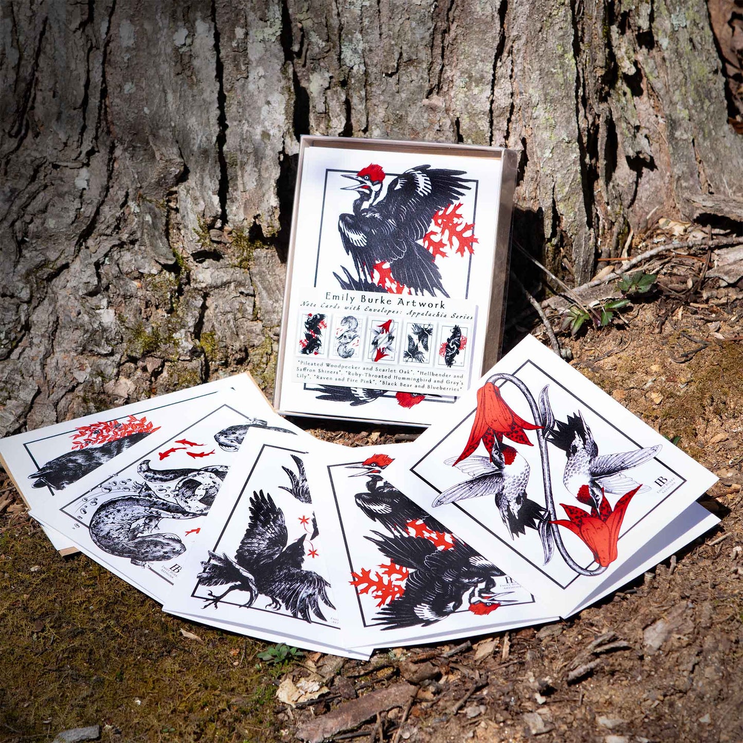 Appalachia Note Card Set