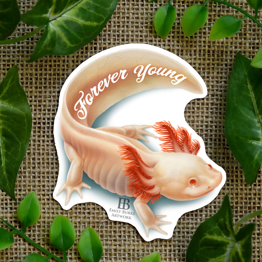 Forever Young Sticker