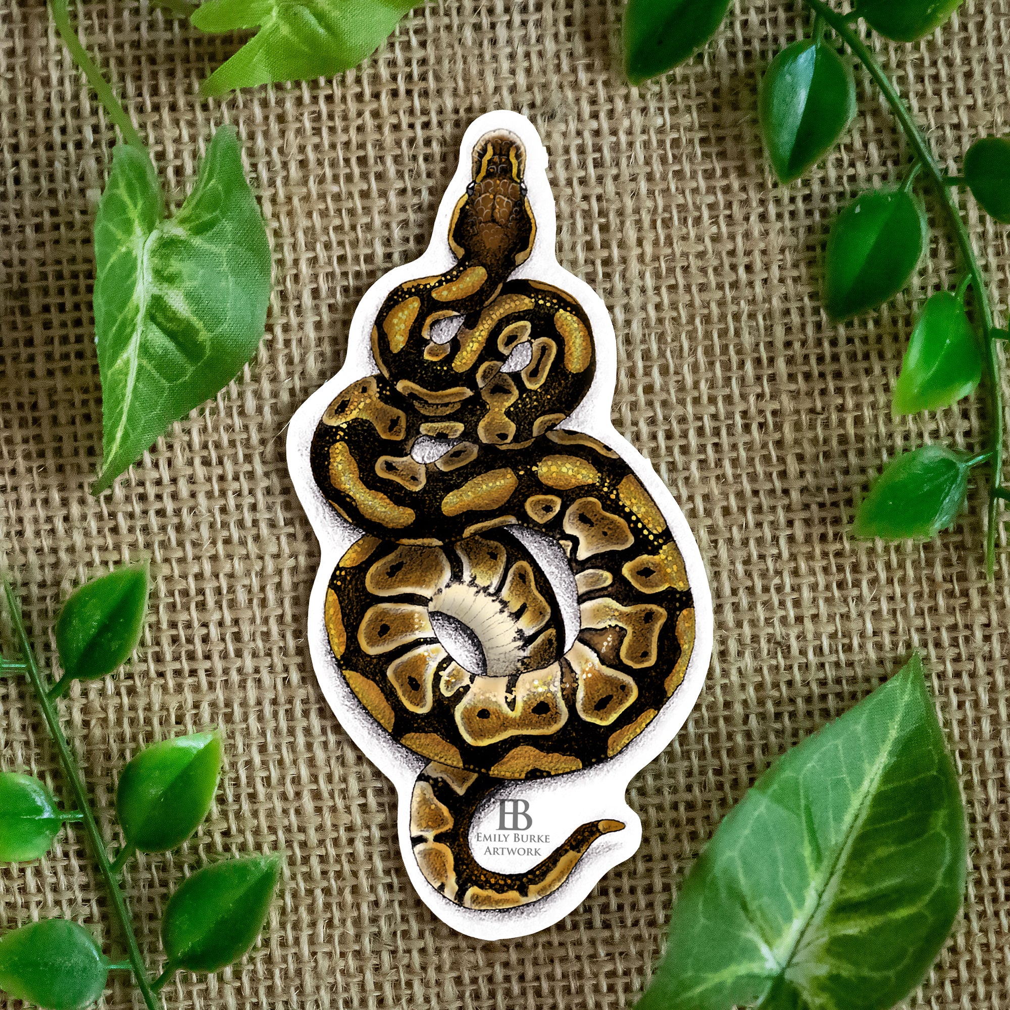 Ball Python Sticker – Emily Burke Artwork