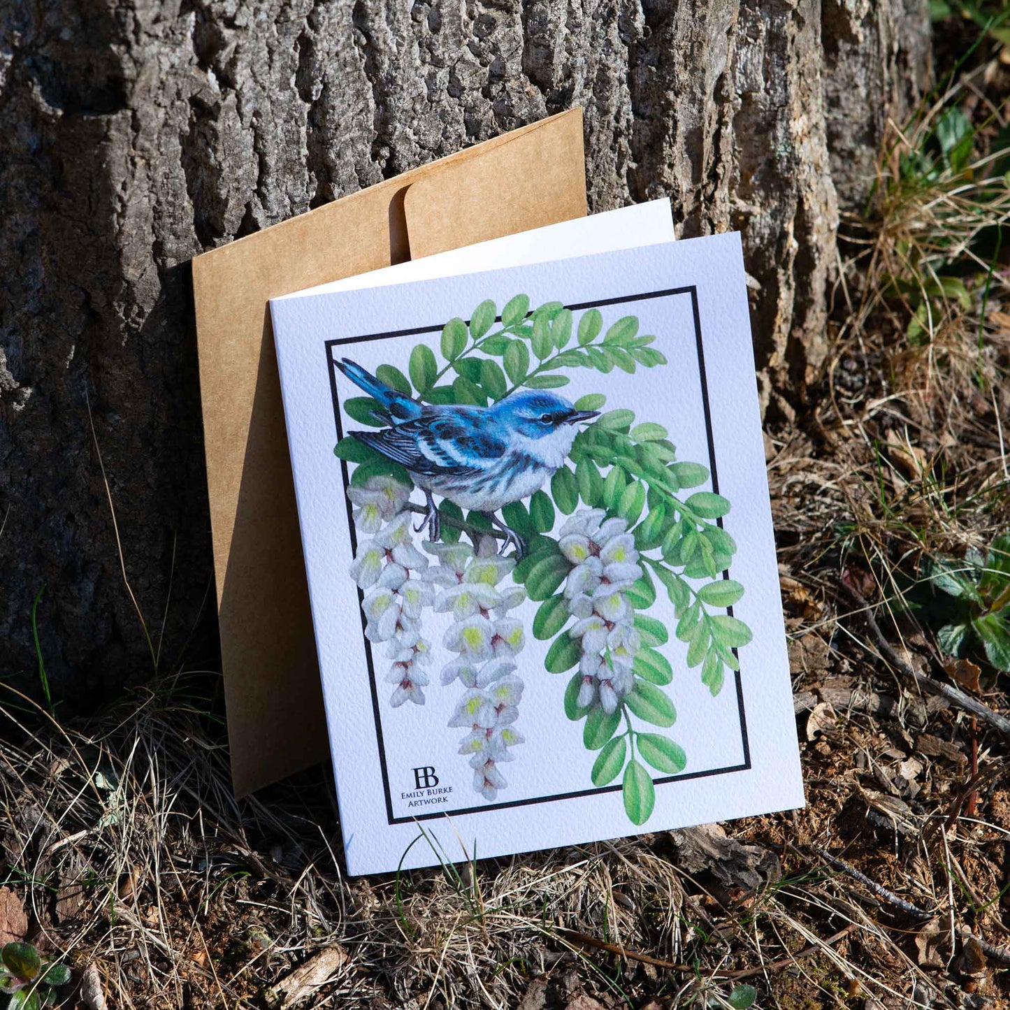 Appalachian Warbler Note Card Set