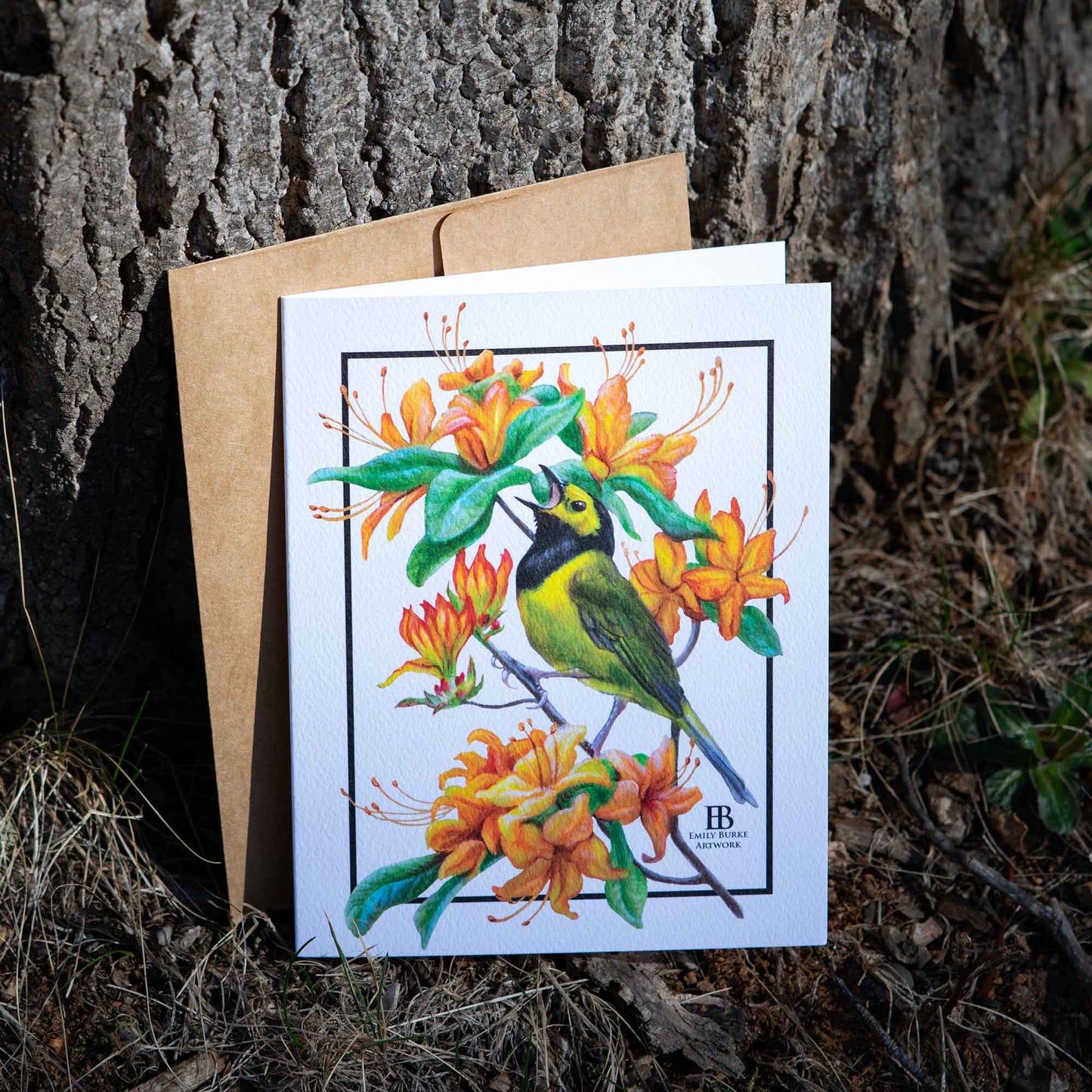 Hooded Warbler and Flame Azalea Note Card