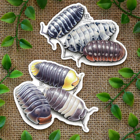 Isopod Stickers