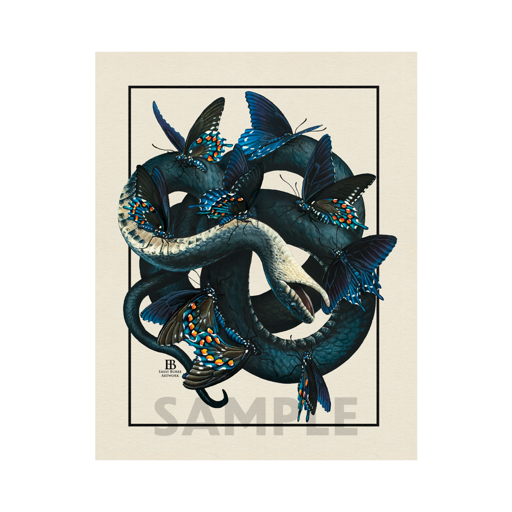 Rat Snake and Swallowtails "Memento Mori" Print