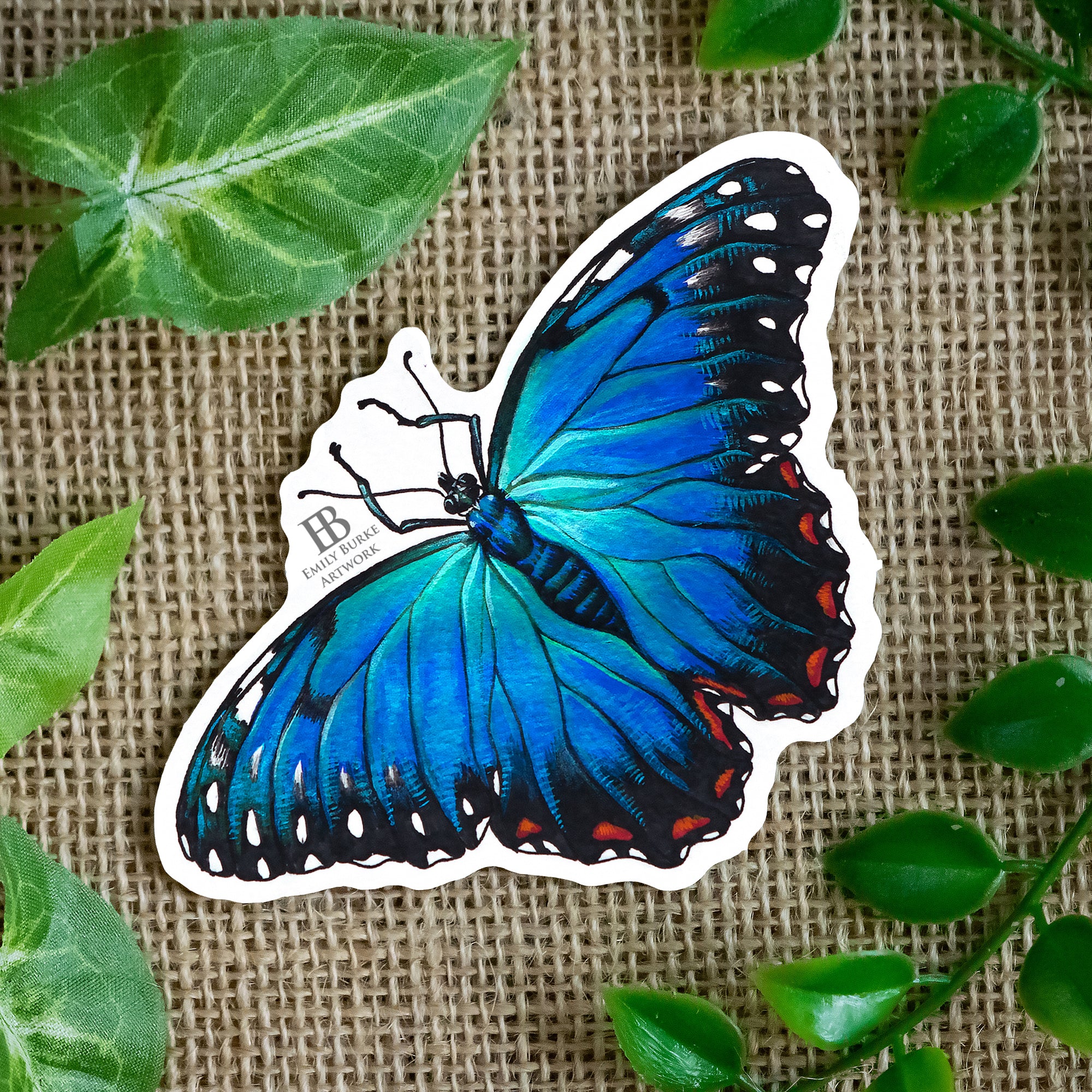 Blue Morpho Sticker – Emily Burke Artwork