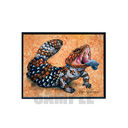 Shingleback Skink Print