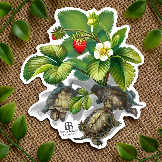 Strawberry Box Turtle Sticker