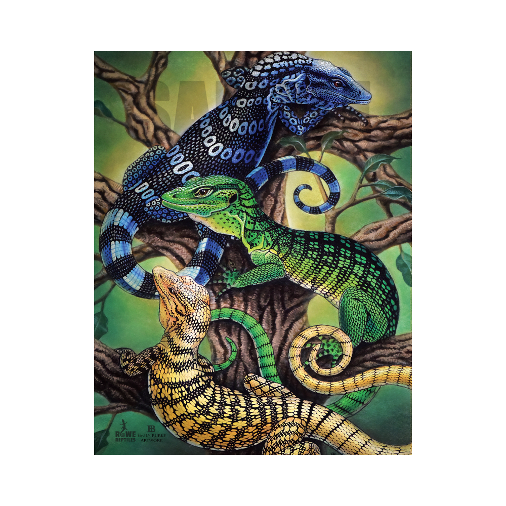 Tree Monitors Print