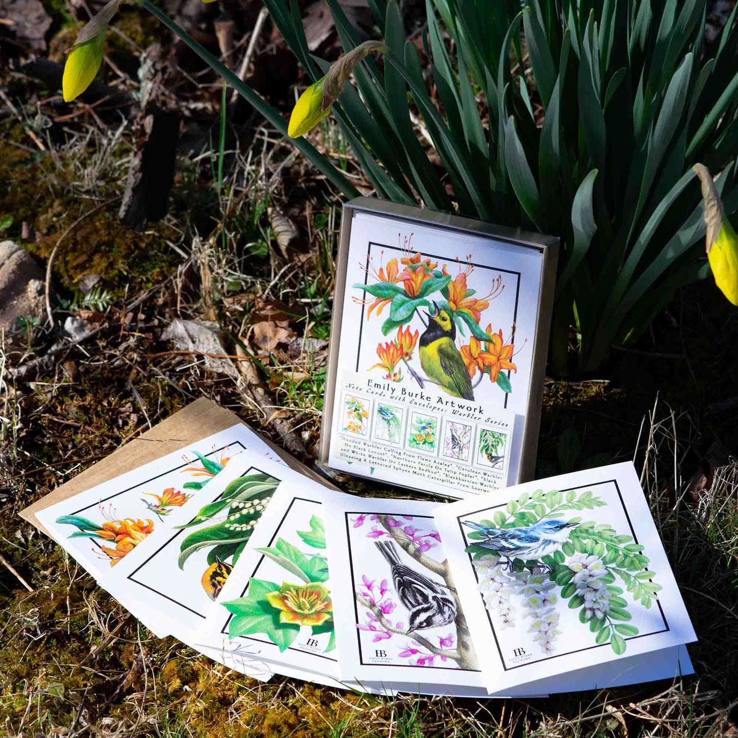Appalachian Warbler Note Card Set
