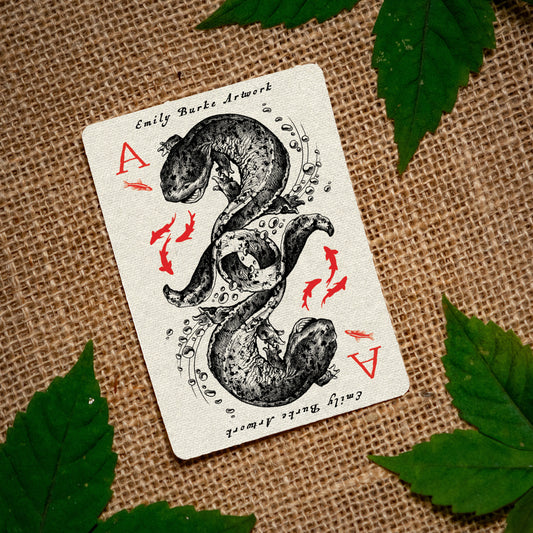 Appalachia Hellbender Sticker