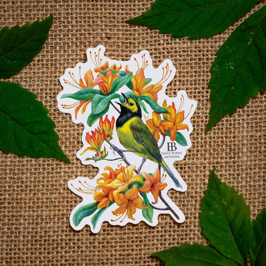 Hooded Warbler and Flame Azalea Sticker
