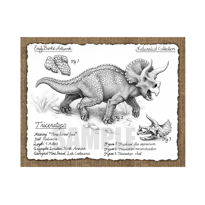 Triceratops Etch-a-sketch Art Print for Sale by SharksEatMeat