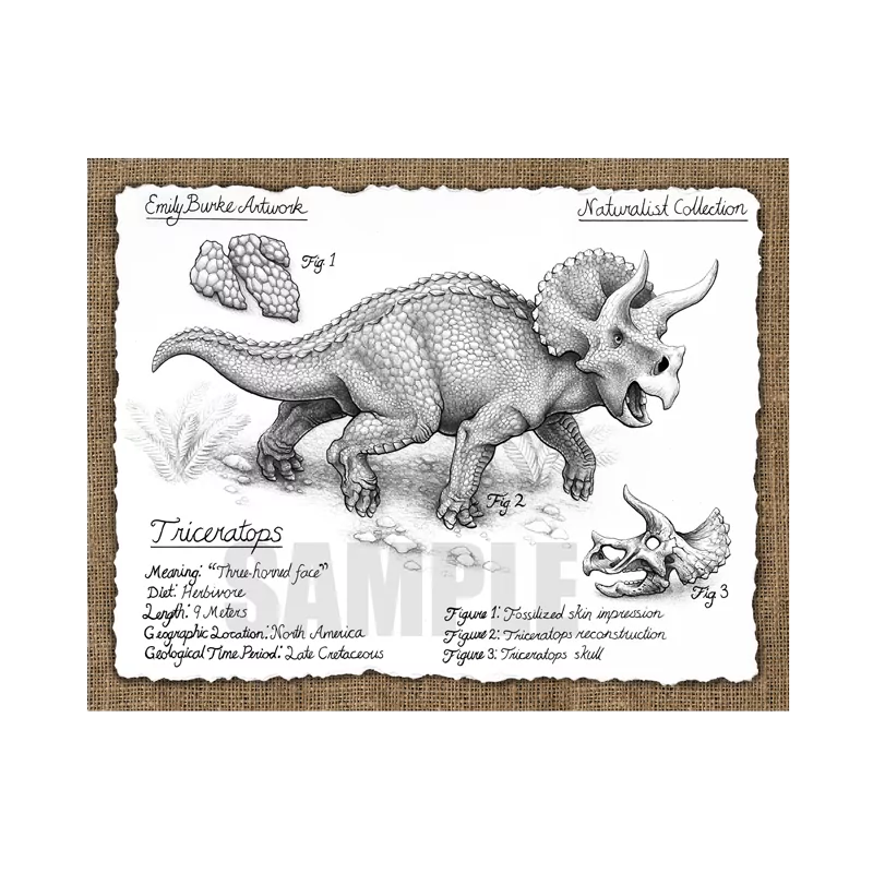 Triceratops Etch-a-sketch Art Print for Sale by SharksEatMeat